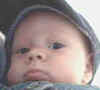 Baby Bob-New York